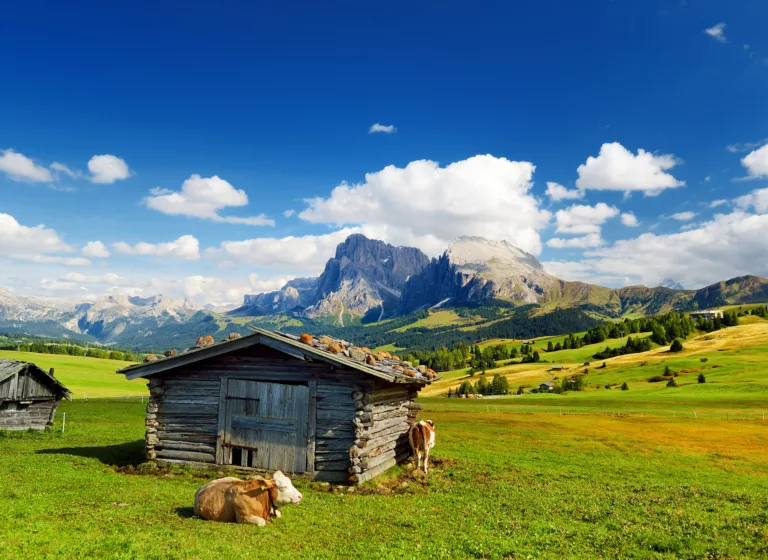 View of Alpe di Siusi