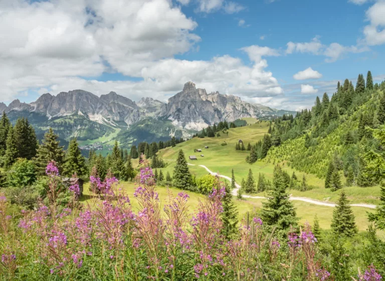 Vista montagna Sassongher in Alta Badi