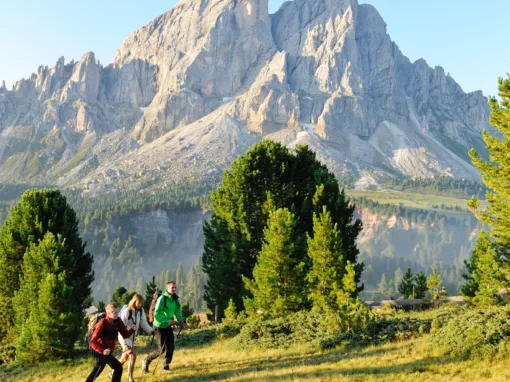 Escursionisti in Alto Adige