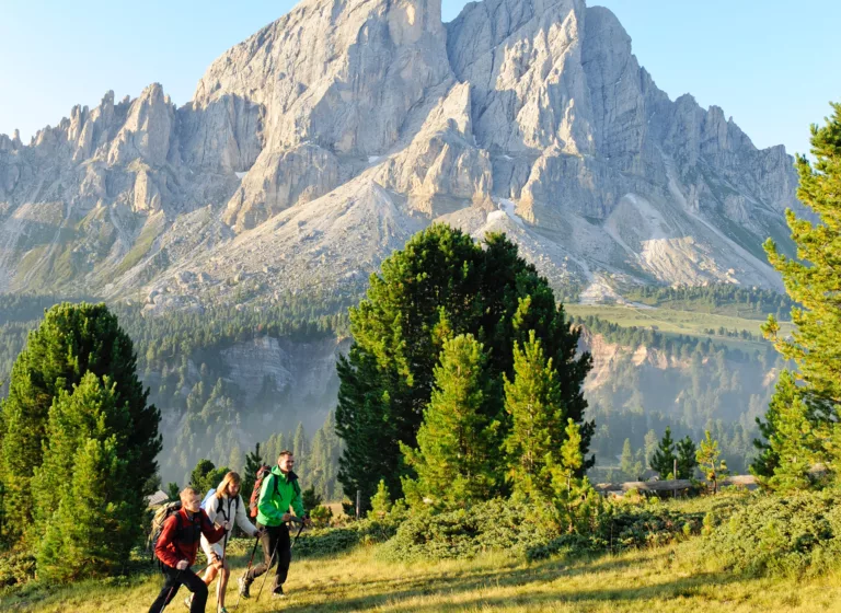 Wanderer im Alto Adige, Südtirol