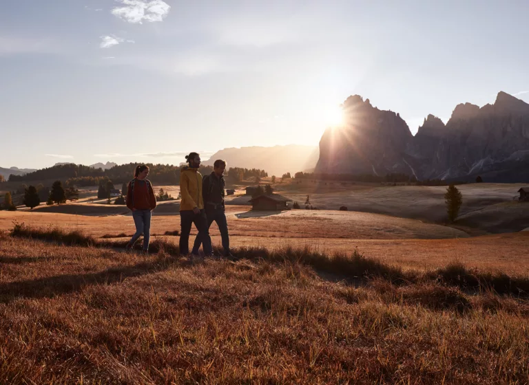 Hikers in South Tyrol near Alpe di Siusi