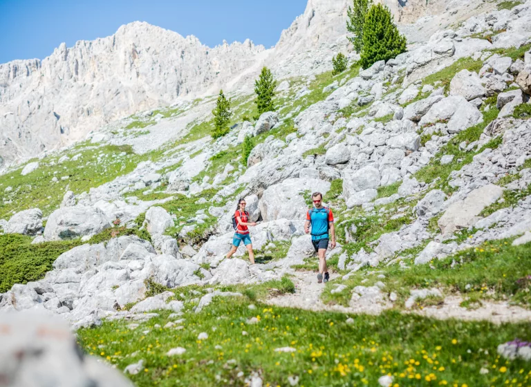 Wanderer in den Dolomiten, Südtirol