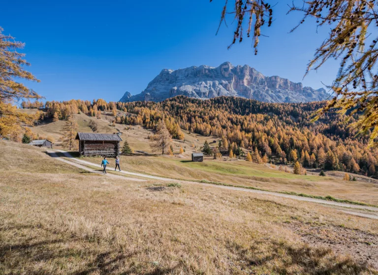 Herbstwanderung in Südtirol