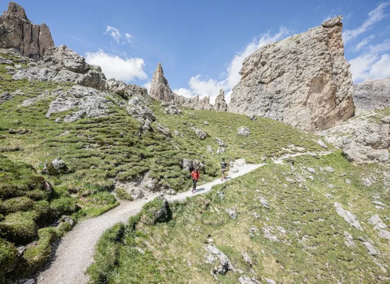 Grödnerjoch